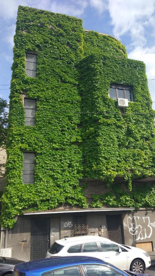 Central Green House Bükreş Dış mekan fotoğraf